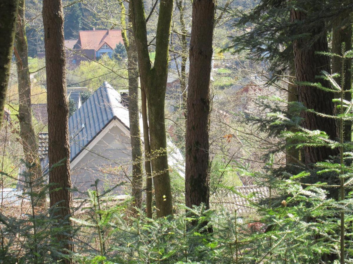 Le Clos D'Aure. Oberhaslach 外观 照片