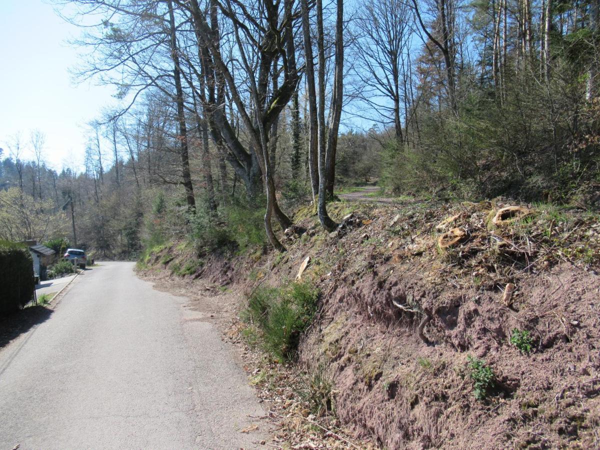 Le Clos D'Aure. Oberhaslach 外观 照片