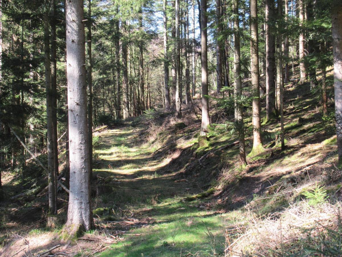 Le Clos D'Aure. Oberhaslach 外观 照片