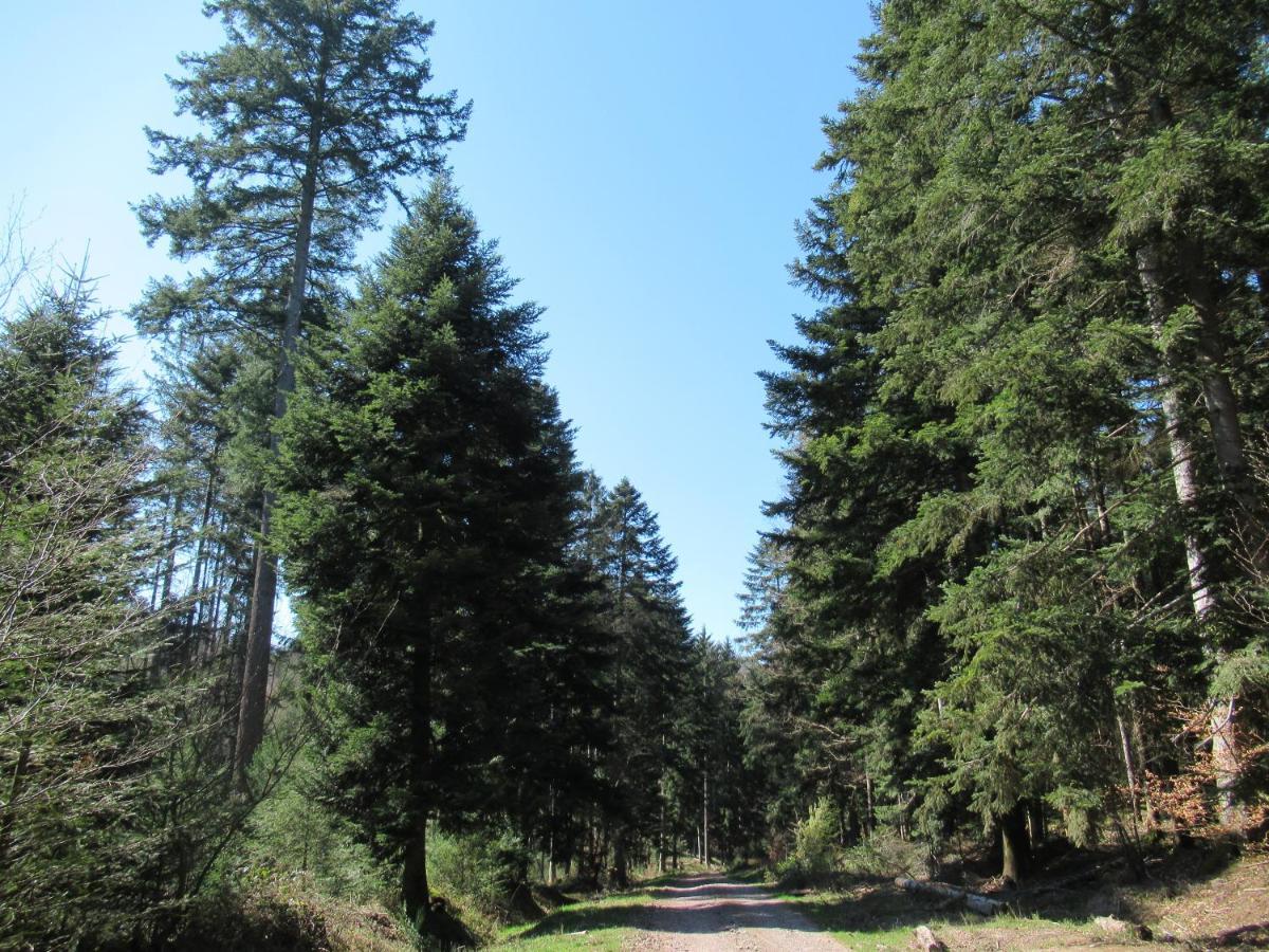 Le Clos D'Aure. Oberhaslach 外观 照片