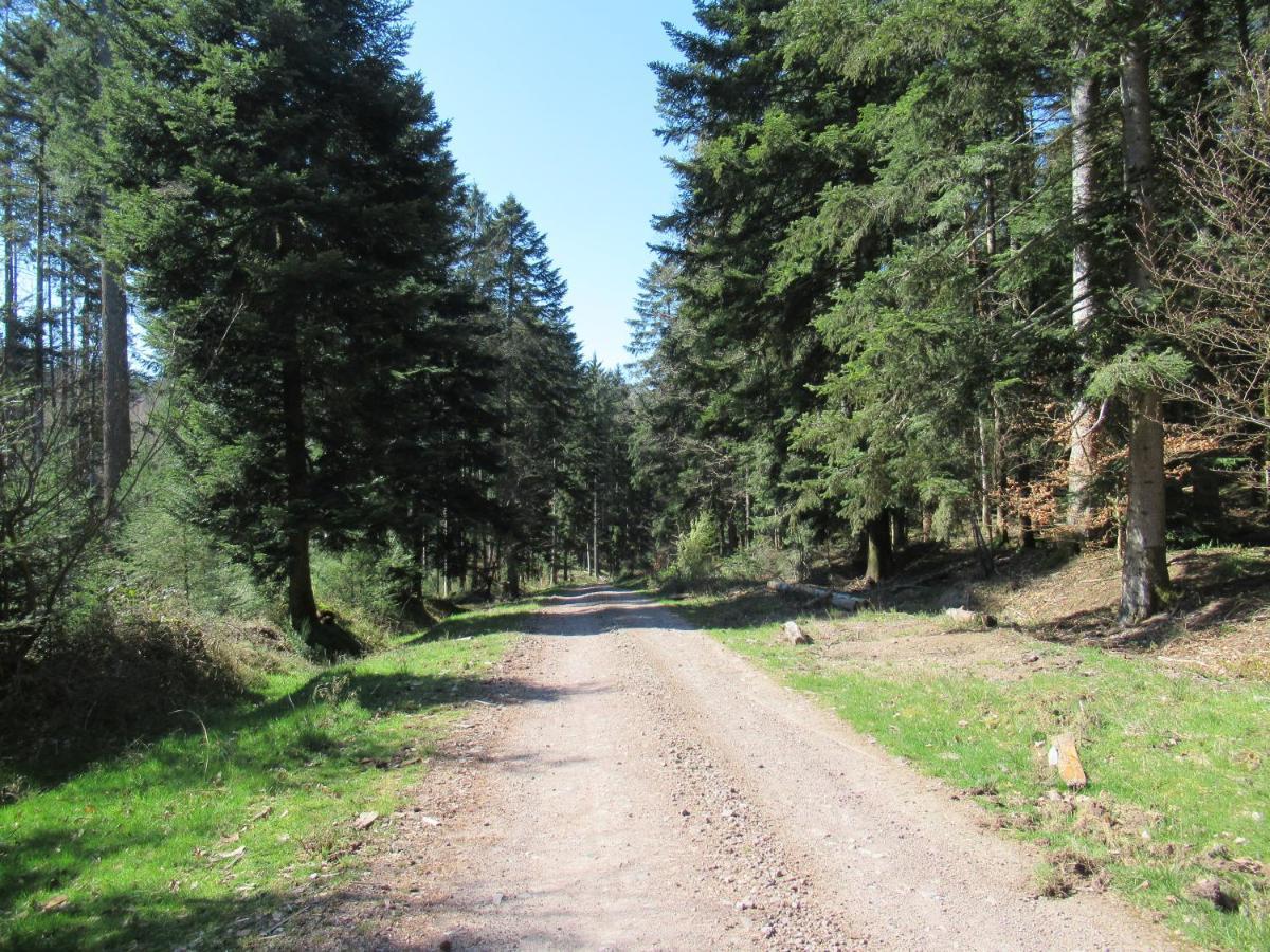 Le Clos D'Aure. Oberhaslach 外观 照片