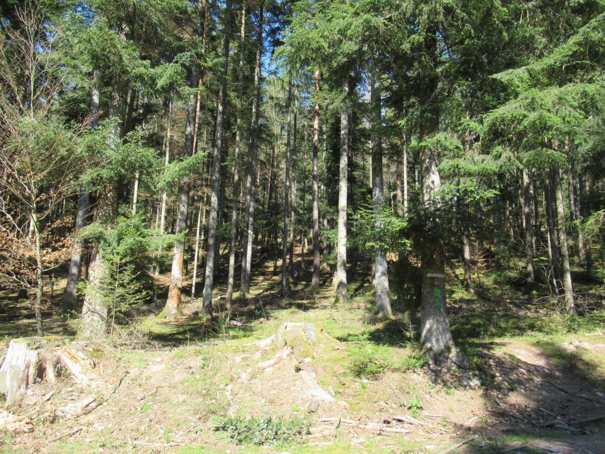 Le Clos D'Aure. Oberhaslach 外观 照片