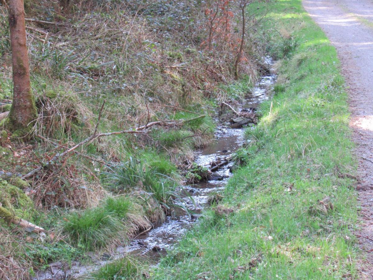 Le Clos D'Aure. Oberhaslach 外观 照片