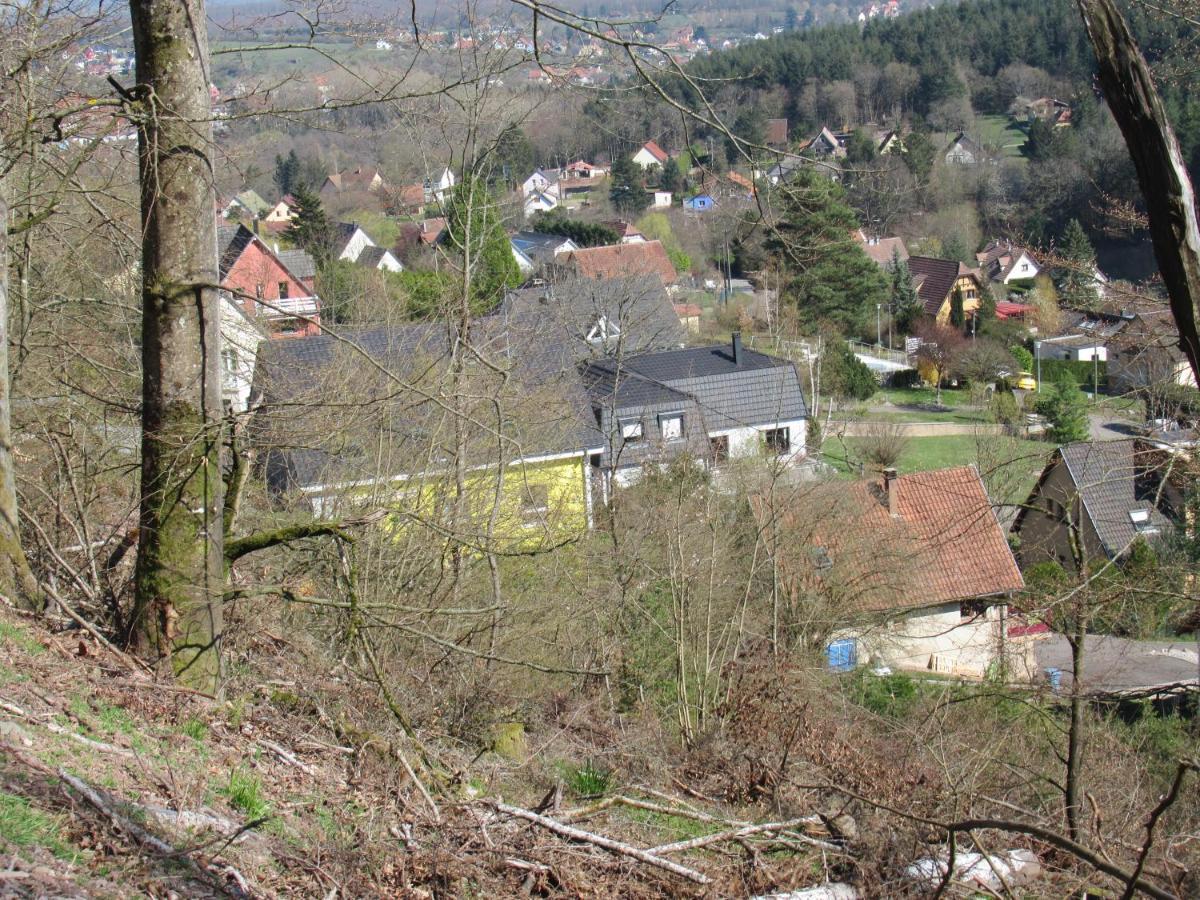 Le Clos D'Aure. Oberhaslach 外观 照片