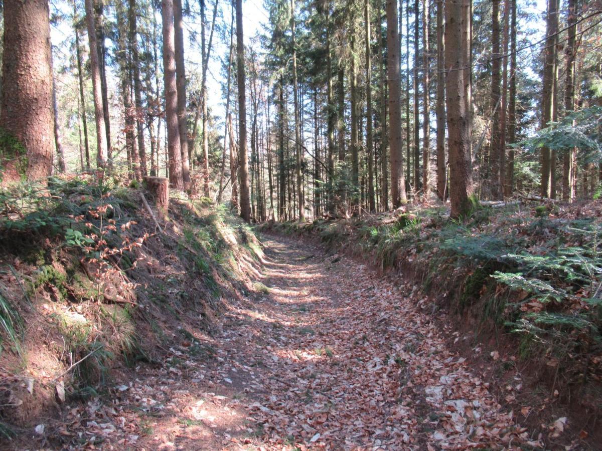 Le Clos D'Aure. Oberhaslach 外观 照片