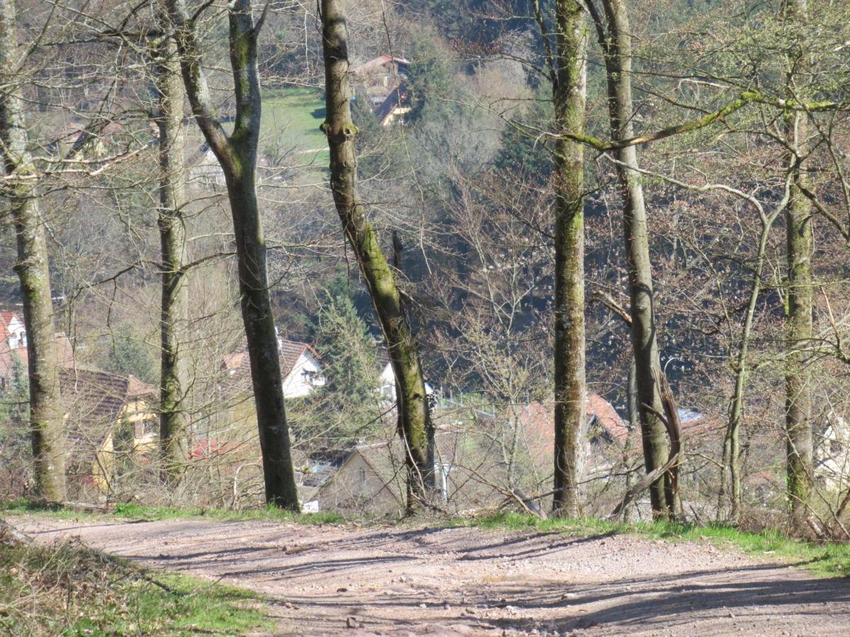 Le Clos D'Aure. Oberhaslach 外观 照片